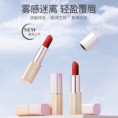 Charming Beauty Powder Rose Velour Passion Lipstick - Simple and Fashionable Misty Matty Lipstick, Tomato Six Colors Available, Item 23082