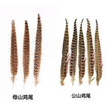 厂家直销养殖母山鸡公山鸡尾尾舞台演出羽毛 戏服表演装饰 手工