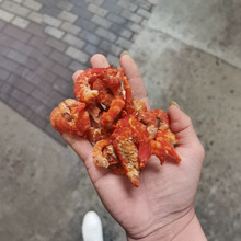 ��̖�r���r�ɺ��r��؛���خa�����r���r�׸�؛�r�� ʳ��500��