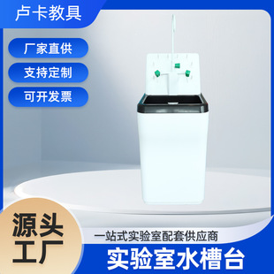 Laboratory Sink Cabinet Physical Chemistry Pp Sink Student-Specific Equipment with Drip Rack Pp Material