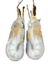 ���l�r���ك�С�����r ��������� ���r�� ���r���r��Ʒ ����ʳ��