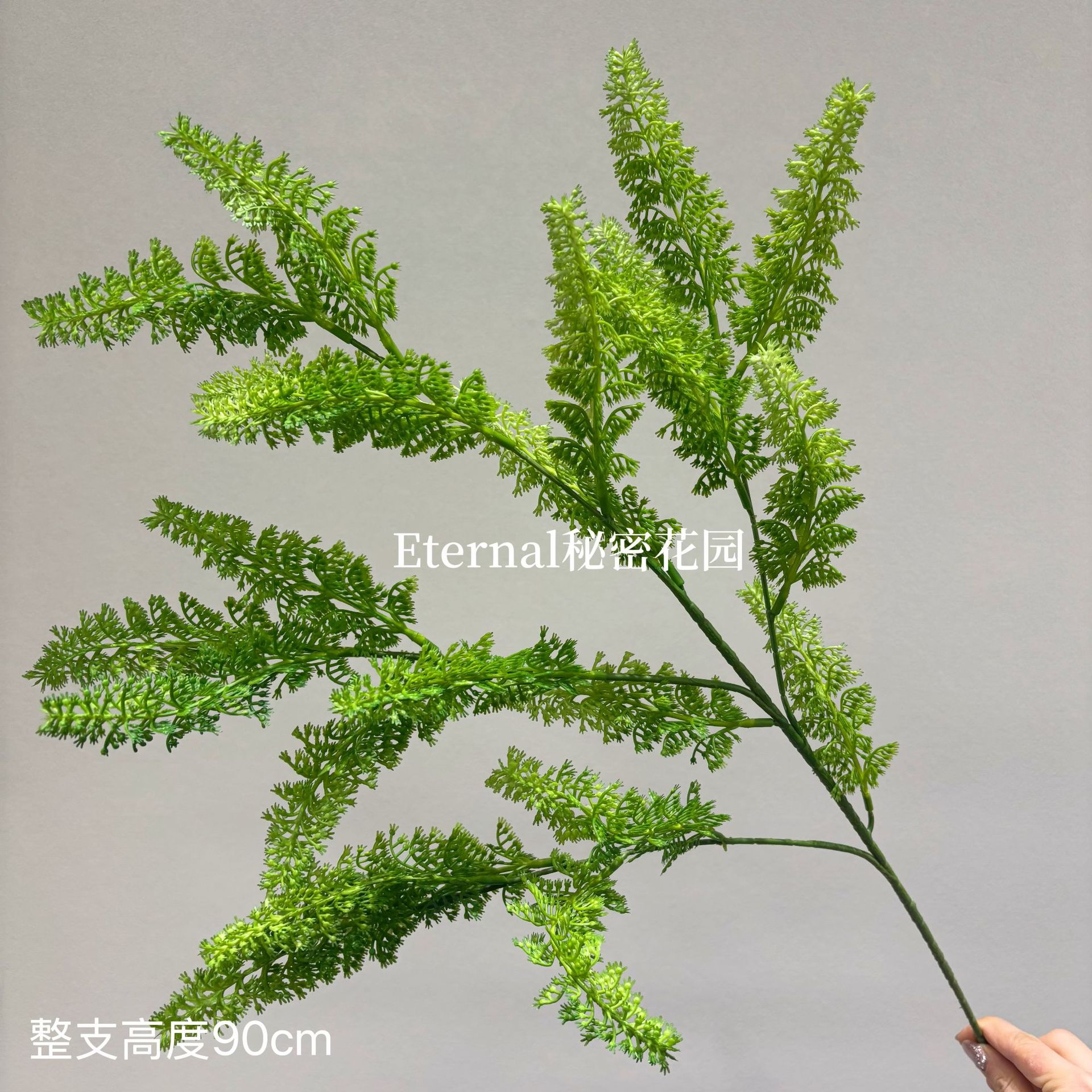 소나무