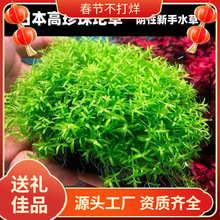 ���ذ�����ˮ���ձ�ſ�ذ�����ˮ��ֲ�����B�~���쾰���Ã���ˮ�|