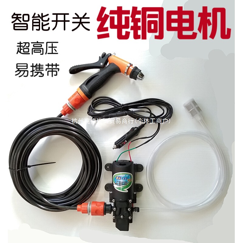 Car-Mounted Household High-Pressure Car Washer 12V 220V Electric Car Washer Micro Small Water Pump Car Washing Machine Cleaning Water Gun Copper