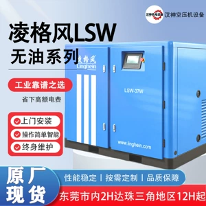 Lsw Series Lingge Oil-Free Air Compressor Industrial-Grade Intelligent Control Energy-Saving Low-Noise Screw Air Compressor