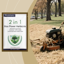 身体护理套装;其他美妆工具;头皮护理用品