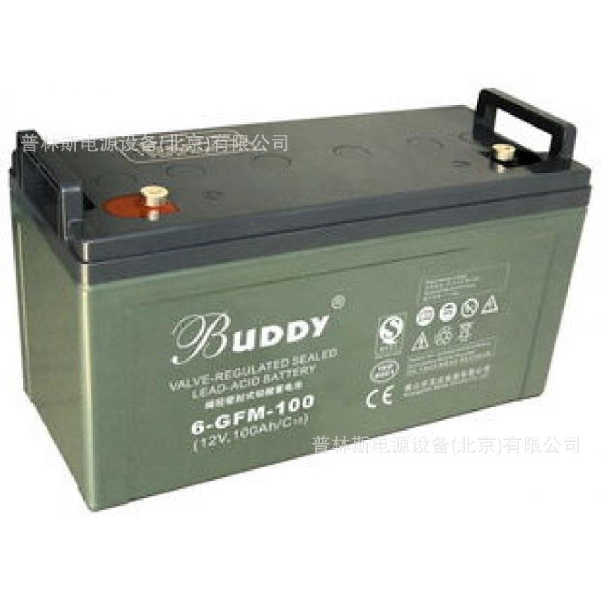 正品宝迪免维护蓄电池6-GFM-100 铅酸蓄电池12V100ah BUDDY蓄电池