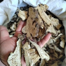 白术中药材白术500g新货白术片白术粉亳白术炒白术炙制白术