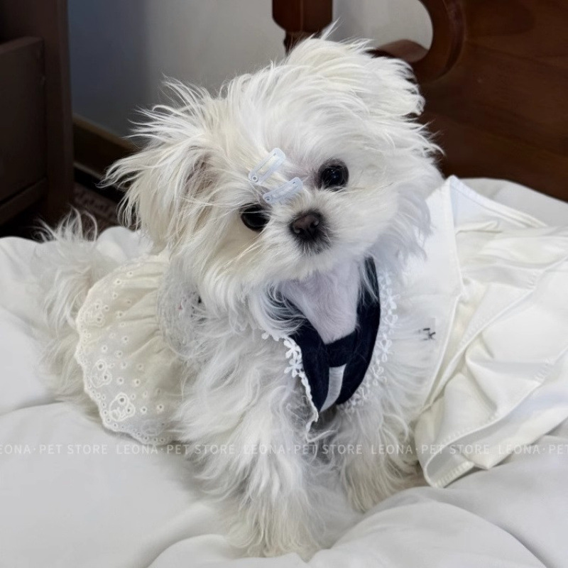 Mascotas primavera y verano encaje princesa estilo tirantes vestido delgado peluche bichón perro pequeño perro gato ropa