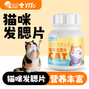Cat Hair Gills for Kittens and Adults, Hair Gills for Round-Faced Pet Cats, Special Nutritional Supplements, Cat Nutrition Paste