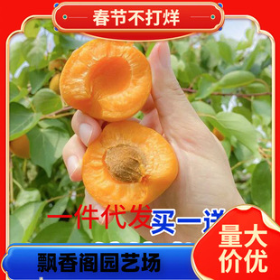 һ�����l�Ә����޽��ϱ����Nֲ�ش�P�ؾ������������Ӯ���Y��
