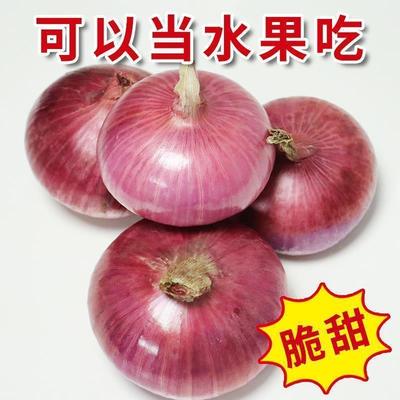 紫紅皮洋蔥10斤新鮮洋蔥現挖洋蔥5斤圓蔥頭批發農家自種蔬菜3斤