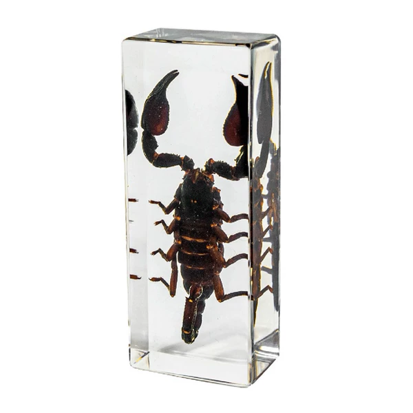 11CM Large Black Scorpion