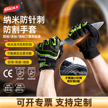 TAILI/̫Tзo׷ײ|ָ羳N