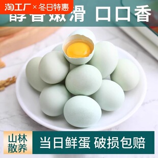 ���u�����r�����u���G�����r��ɢ�B���u��Ƥ�����u�����ӵ�