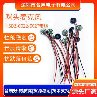 in stock 6022/6027P with wire microphone head high sensitivity anti-noise anti-interference lead microphone manufacturer