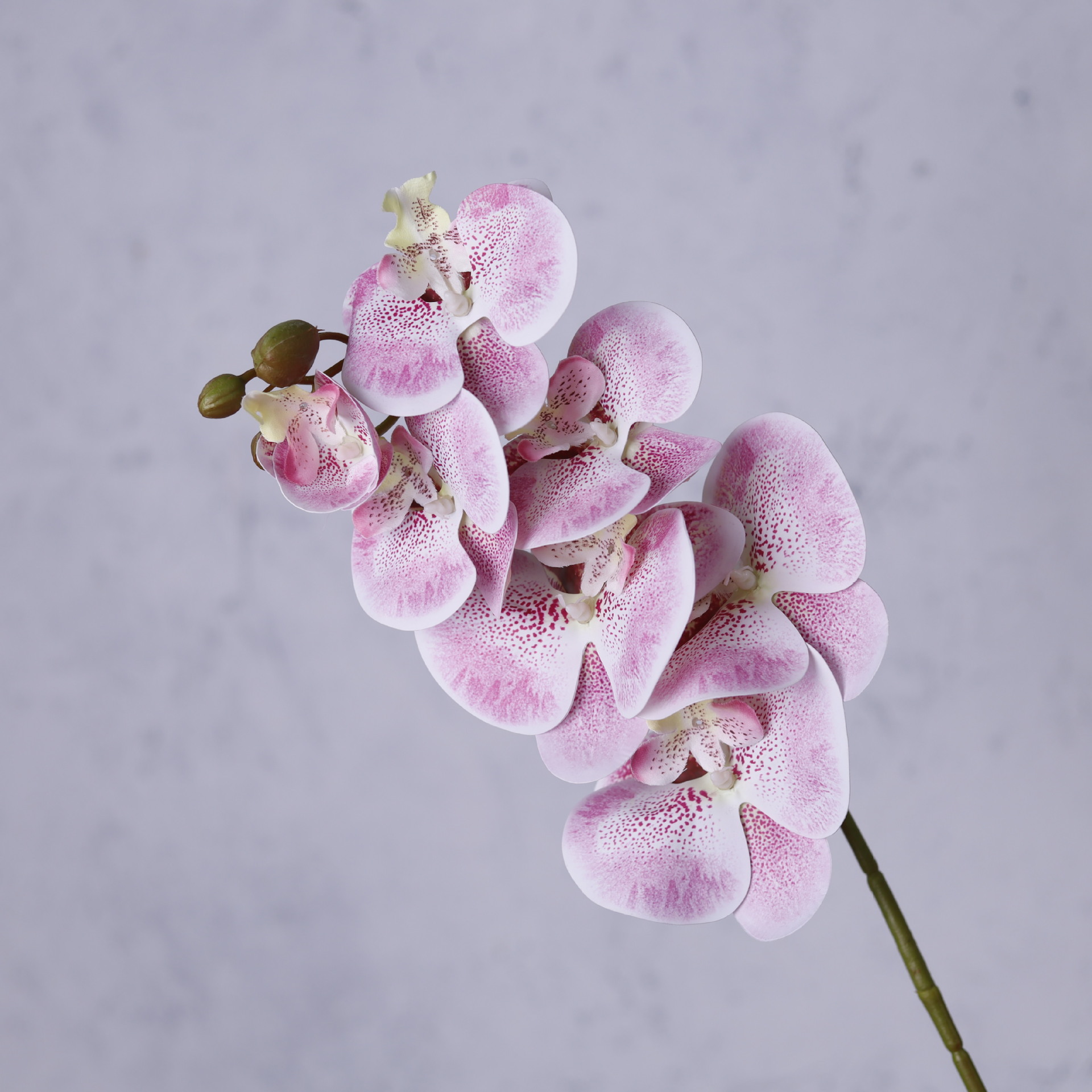 Impresión 3D de 7 cabezas de orquídeas mariposa flor de decoración de flores de alto nivel flor de nicho decoración floral decoración de sala de estar