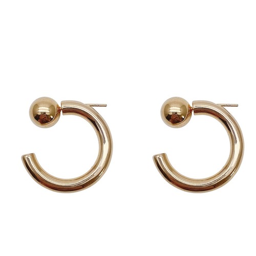 French simple and high-quality photosensitive metal hook earrings temperament light luxury niche versatile cold style earrings