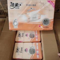 Gentle & Clean Scented Tissue Paper Large Pack 24 Packs Full Carton Home Use Wholesale Wettable M Size 100 Pcs Soft Facial Tissues