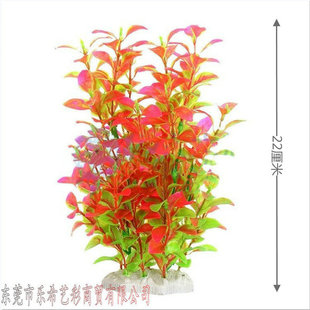 ɫˮƷ~׾Gɫ̖ˮ쾰ϲݼtɫb~ܛ[