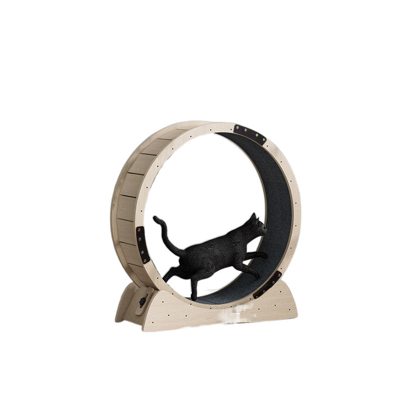 고양이 런닝머신 인터넷 연예인 모델 롤러 샤프트리스 다층 단단한 보드 트랙 롤러 피트니스 고양이 장난감 제조 업체 직접 판매