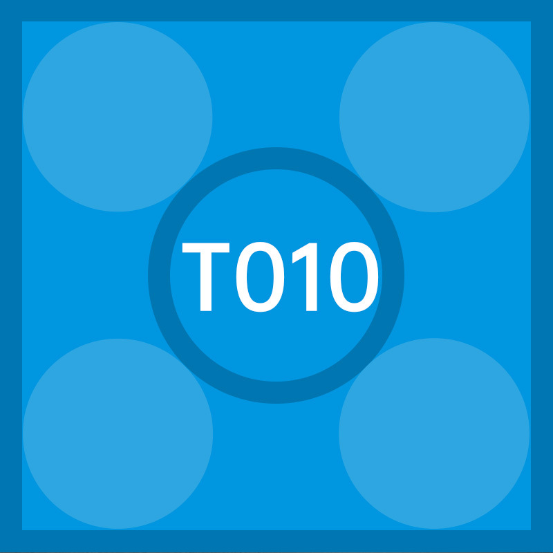 T010