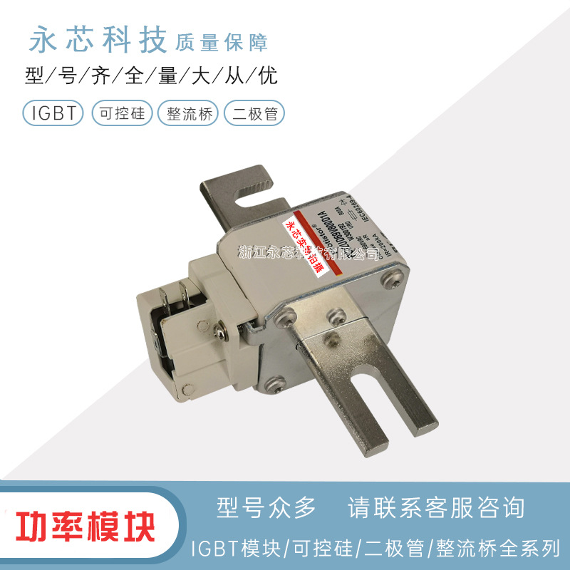 原装进口PC32UD69V550D1A 	S300189 双连体熔断器保险丝 全新现货