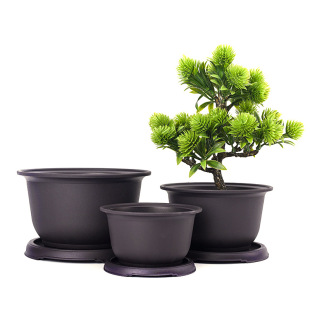 ����ɰ���϶��⻨��������߰��A���辰С���ԏ͹ź��s�Ӻ�����