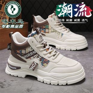 ��ľ�B��ʿ�R��ѥ�ﶬ���¿�ٴ����߷��������ĥ�ߎ����eЬ����