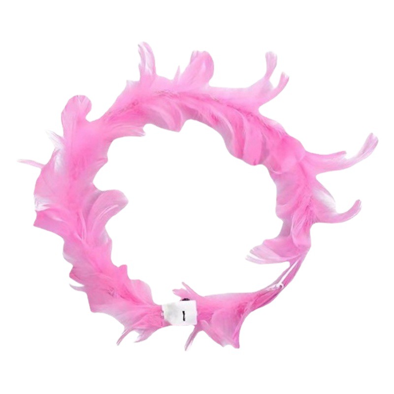 Nuevo alargado luminoso ganso pluma Garland hadas Ángel LED linterna Garland tocado Internet celebridad noche mercado al por mayor