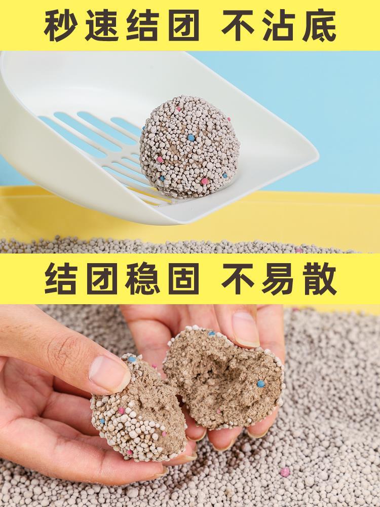 8f3670ad-d2e6-4b1b-86d1-36a5d5efc478.jpe