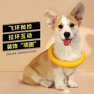 ����������z�����h�������������RȮ߅��ĥ����ҧ����Ȯ����Ӗ��