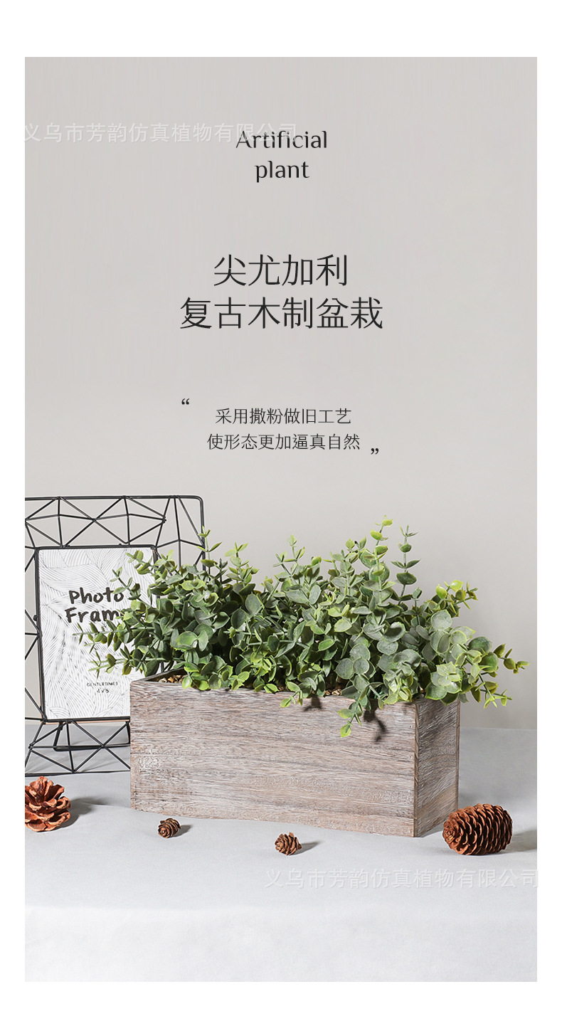 详情_01.jpg