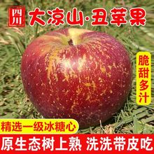 丑苹果大凉山冰糖心当季水果新鲜红富士脆甜5/10斤整箱一件代发