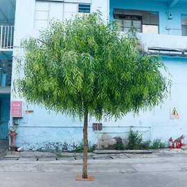 仿真柳树室内外庭院酒店装饰假植物造景美化城市假大树仿真垂柳树