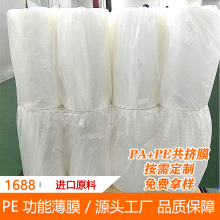 DĤ papeDĤ ߌӾŌ͸DĤ ӹDʳƷb