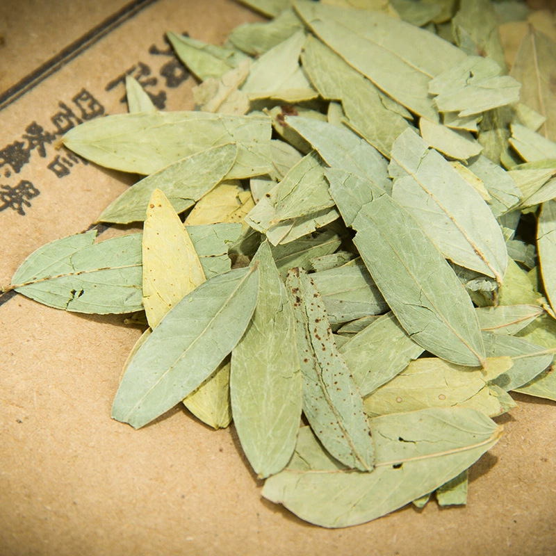 Senna Leaf 500g Fan Xie Ye Dried Herbal Tea Leaves Natural Sun Dried Guangxi Origin quality and texture
