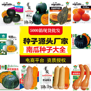 Դ�^�S�����l�ϹϷN�Ӵ�ȫ�Gؐؐ�۱�����С�t�������������Ϲ���