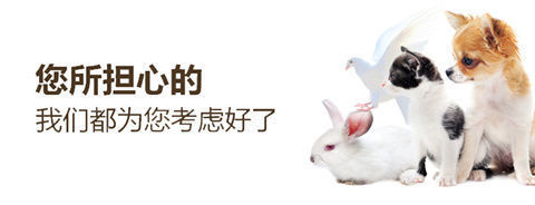 08435fbf-22f4-40ce-abd3-e1c0996f8f86.jpe
