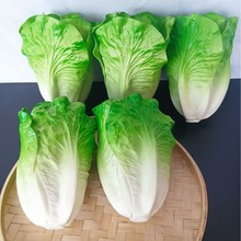 �������˼��߲˰ײ������ļ��������[�����۲˿���S�Ͻz������