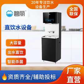 碧丽高端智能不锈钢直饮水机幼儿园全自动温热立式步进式开水器