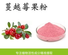 蔓越莓果汁粉 冲调饮品厂家现货蔓越莓提取物100g样品包 蔓越莓粉