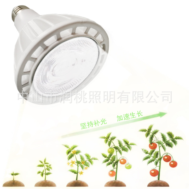 Plant lamp