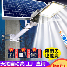 2025¿ܑ̫ͥԺ·rԺӳX