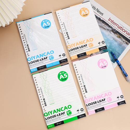 Loose-leaf notebook 20 holes a5b5 loose-leaf replacement core removable multi-specification loose-leaf core wholesale