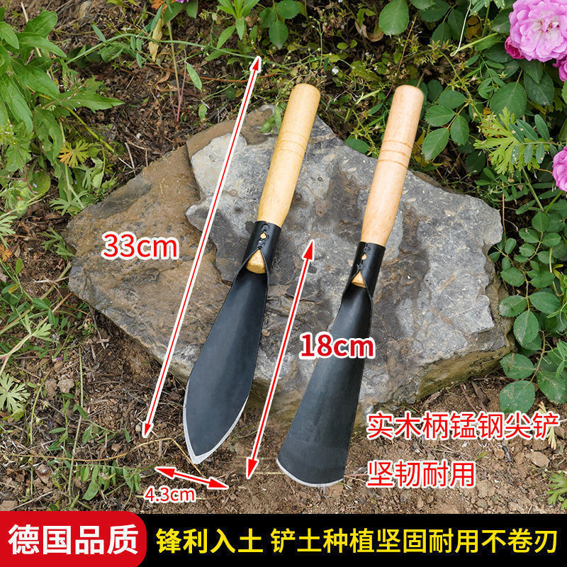 野菜掘り用の卸売小型シャベル、アマラント掘り用、ニンニク掘り用シャベル、野菜掘り用、園芸用花植え道具、除草、土掘り、草抜き|undefined