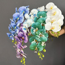 �ָ��R���������m9�^�����m��c���Ĳ����b�����������Q؛Դ