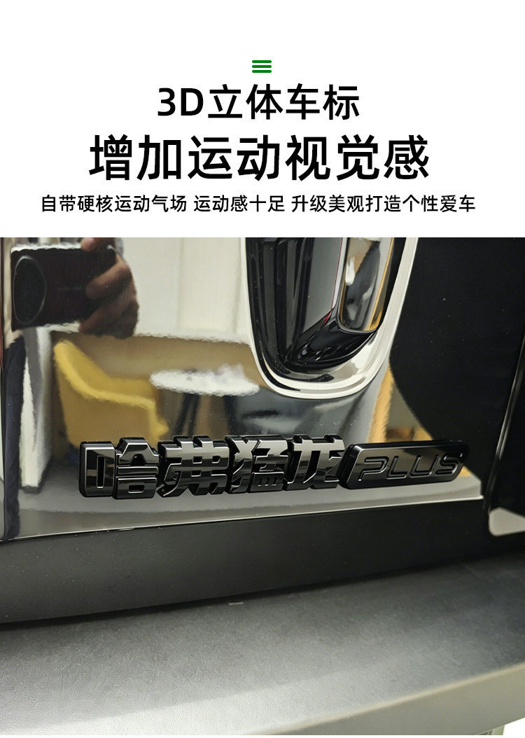 26 Models of Haval Raptor Plus Car Logos, Blackened Rear Logos, Rear Car Logos Made of Abs Material, Personalized Car Logos, Scratch-Resistant and Wear-Resistant Stickers