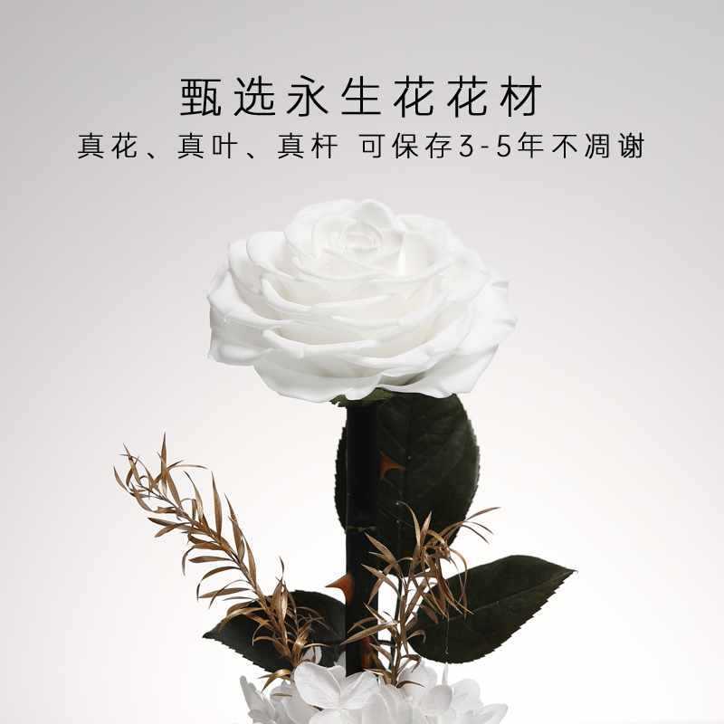 Flor inmortal Rosas Blancas Pequeño Príncipe cubierta de vidrio productos terminados regalos de San Valentín Amazon venta caliente adornos de flores inmortales