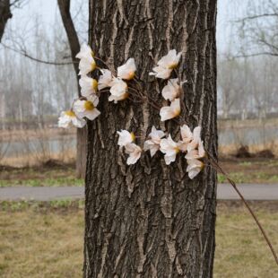 �����Ͻ𻨆�֧���G����c���滨��Y��·���b��Ĳ廨�ٻ�